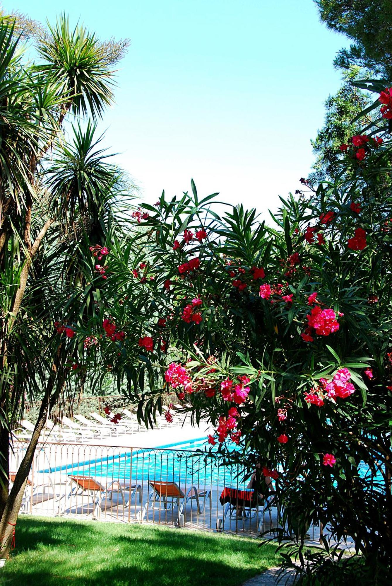 Hotel Les Mazets Des Roches Tarascon Exteriér fotografie